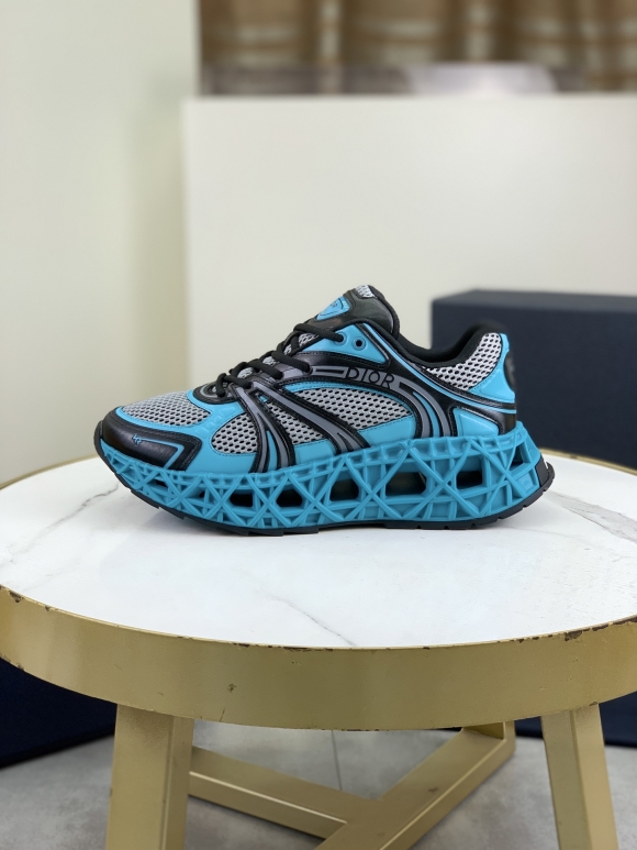 DiorSHOES