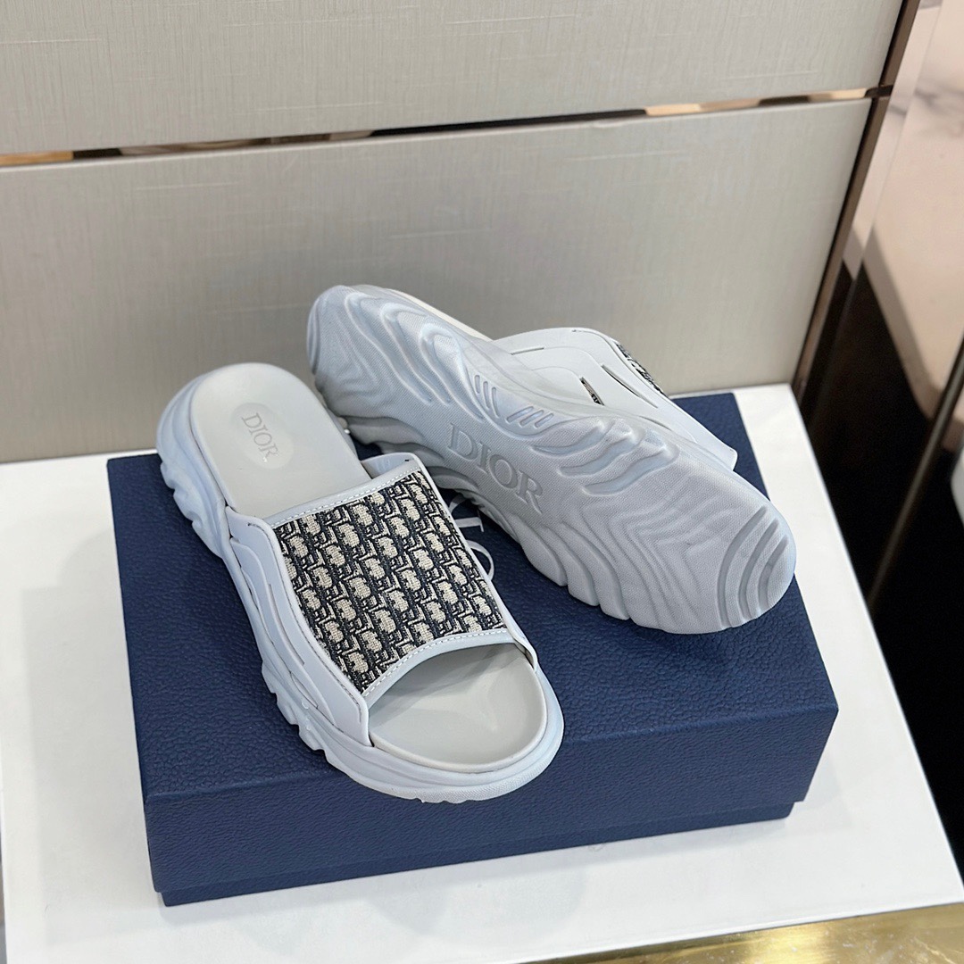 DiorSHOES