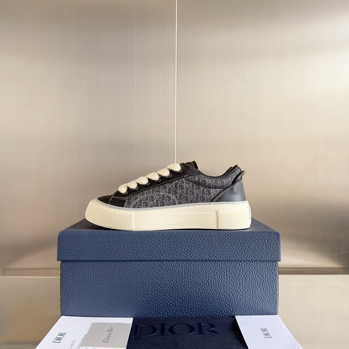 DiorSHOES