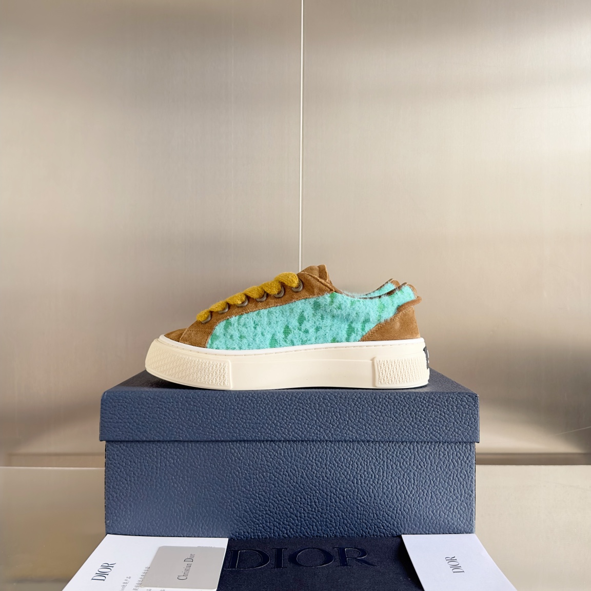 DiorSHOES