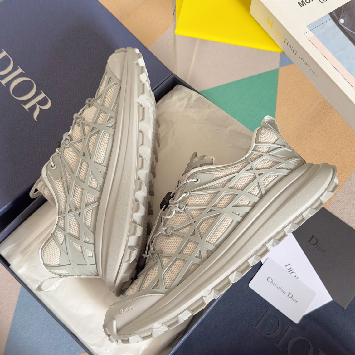 DiorSHOES
