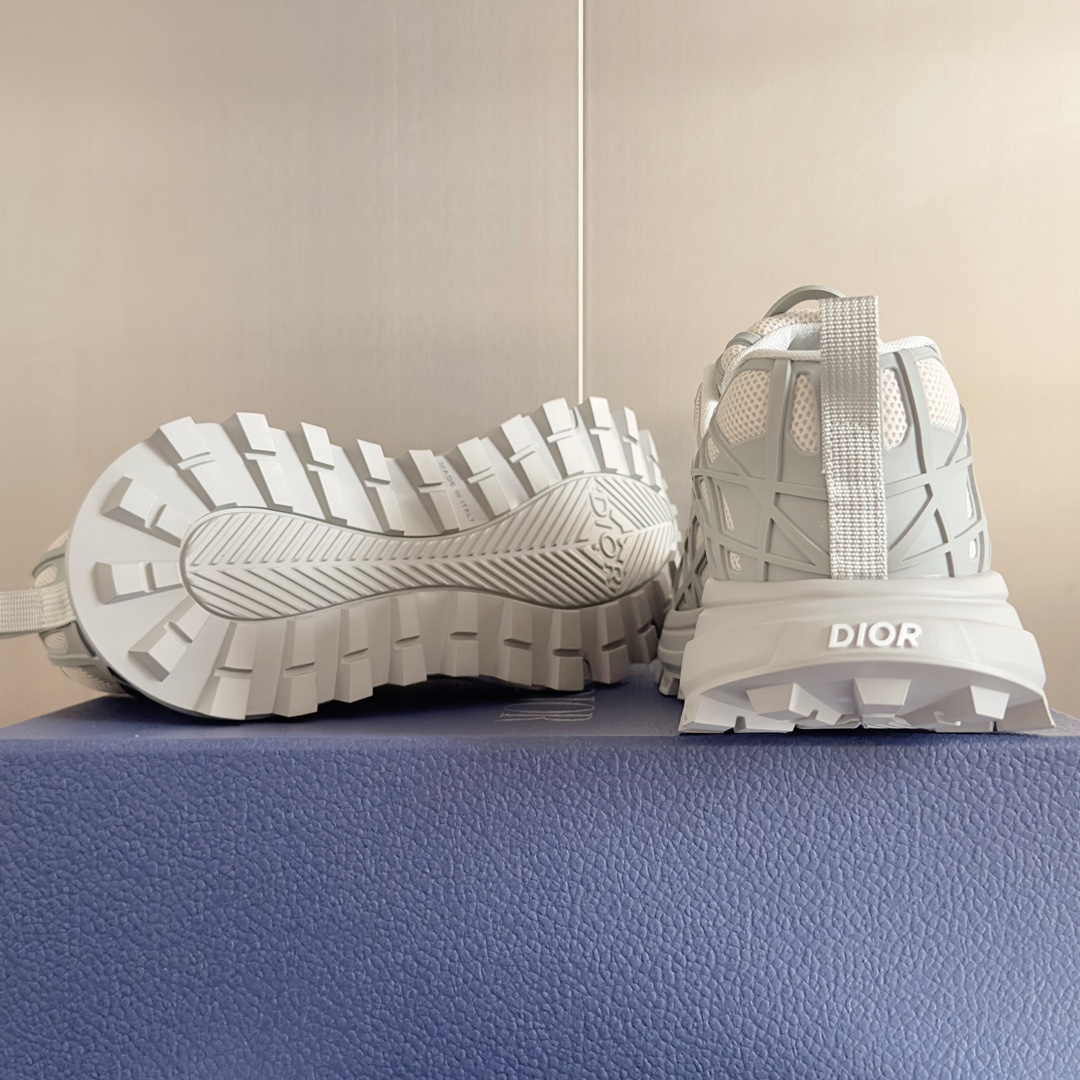 DiorSHOES