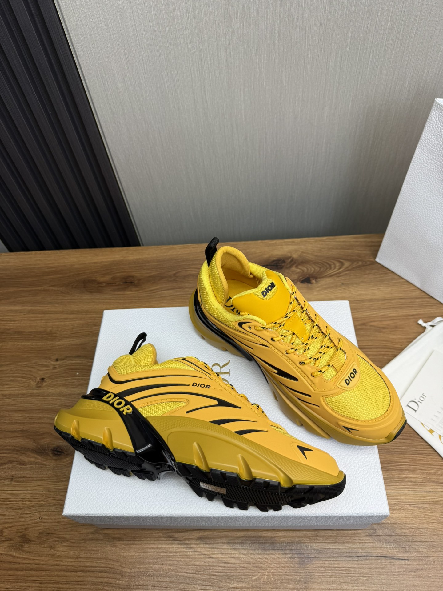 DiorSHOES