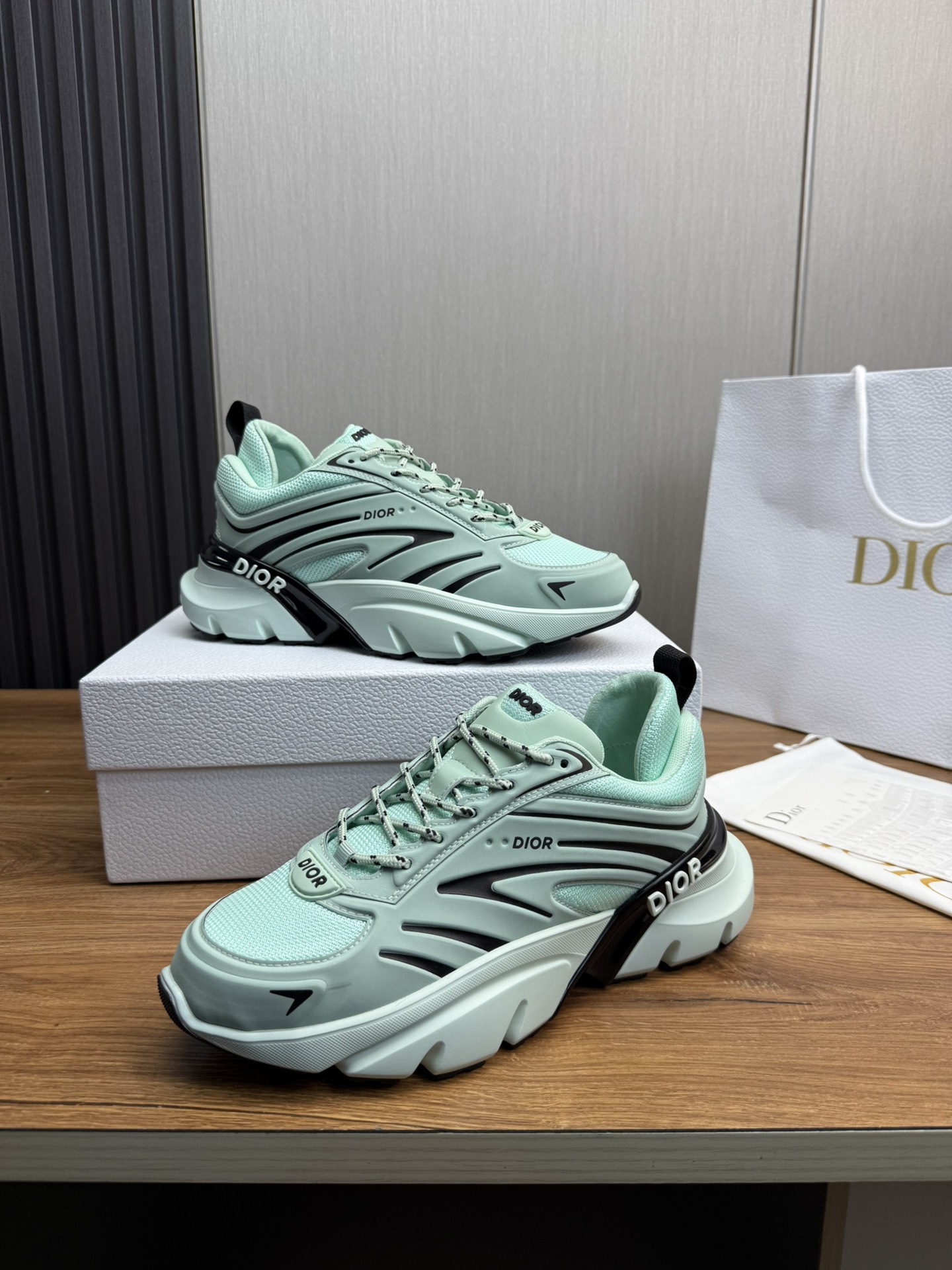 DiorSHOES